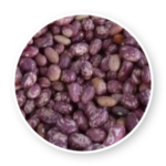 saitoti_beans