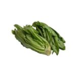 UMEZE-STEM-LEAVES-