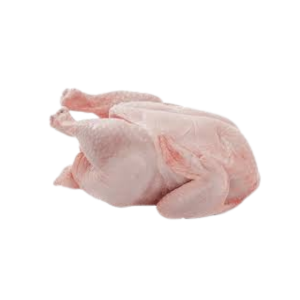 Chicken Meat