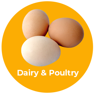 Dairy & Poultry