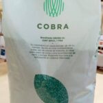 Cobra