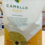 Camello